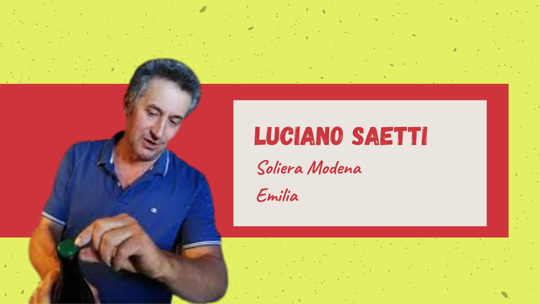 Luciano Saetti, Vigneto Saetti